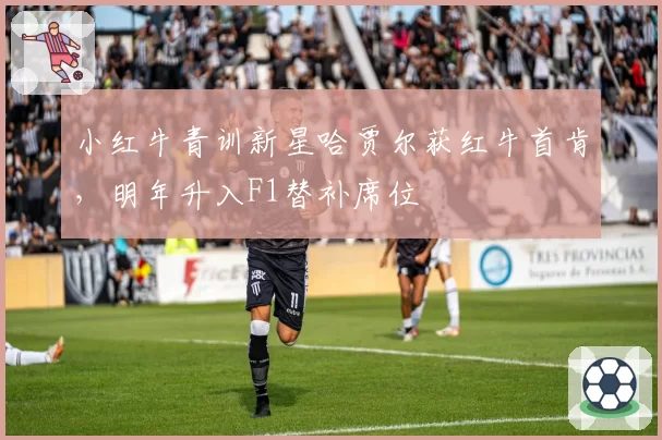 小红牛青训新星哈贾尔获红牛首肯,明年升入F1替补席位