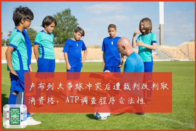 卢布列夫争球冲突后遭裁判改判取消资格，ATP调查程序合法性