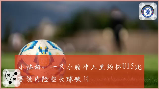 小插曲，一只小狗冲入里约杯U15比赛场内险些头球破门