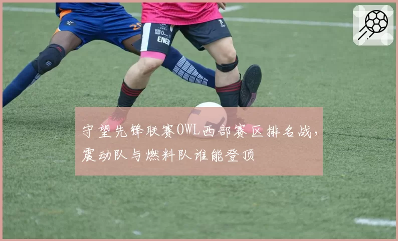守望先锋联赛OWL西部赛区排名战,震动队与燃料队谁能登顶