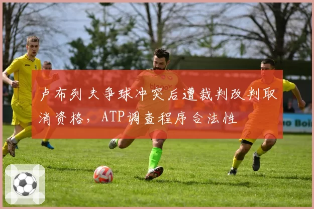 卢布列夫争球冲突后遭裁判改判取消资格，ATP调查程序合法性
