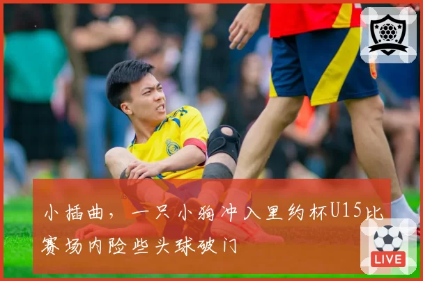 小插曲，一只小狗冲入里约杯U15比赛场内险些头球破门