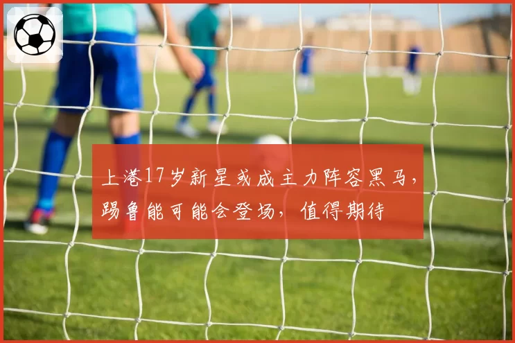 上港17岁新星或成主力阵容黑马，踢鲁能可能会登场，值得期待